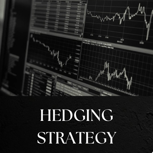HEDGING STRATEGY